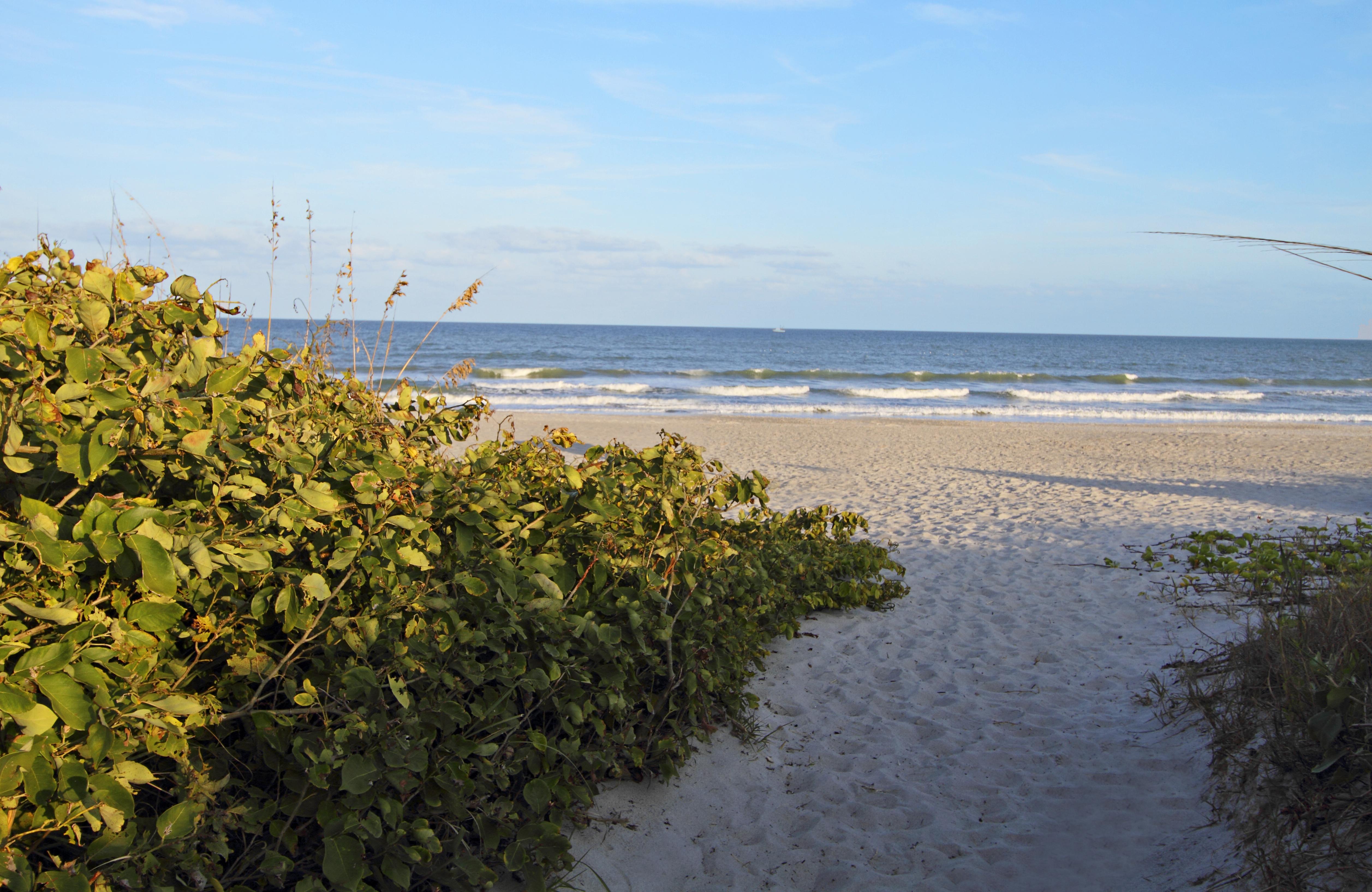 Courtyard By Marriott Cocoa Beach Cape Canaveral Zewnętrze zdjęcie